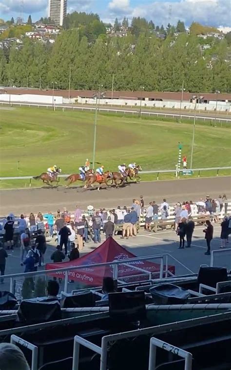 fairplay park casino|Hastings Racecourse & Casino.